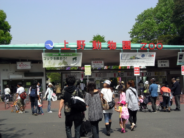 5月2日 土 やっぱりgwは混んでいる 上野動物園 上野 浅草ガイドネット探検隊 ランチ お祭り イベント情報満載